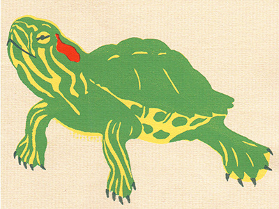 Turtle 2d analog screen print texture