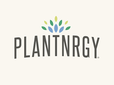 PLANTNRGY LOGO branding cpg design food and drink leaves leaves logo logo plant protien superfood superfoods typography