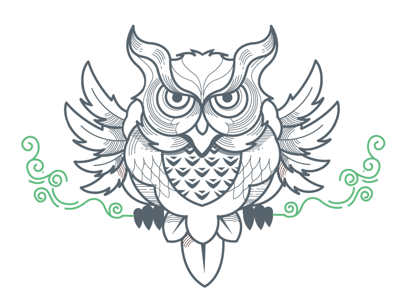 Earth day owl outline illustration minimal bird ornamental