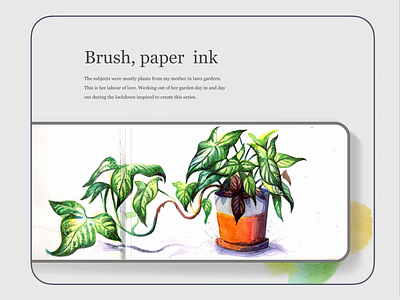 Brush, Paper Ink garden home illustration interaction pen and ink plants pots series watercolours web
