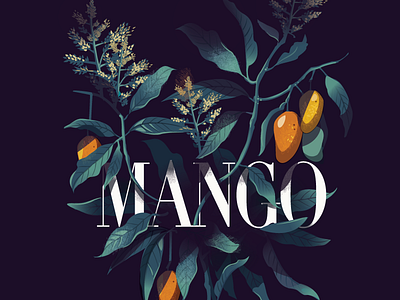 Mango - Mystery Project alphanso dark flowering india mango plant summer vector