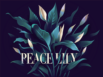 05 Peace lily colorful flowers illustration indoor lily peace lily plants purity series