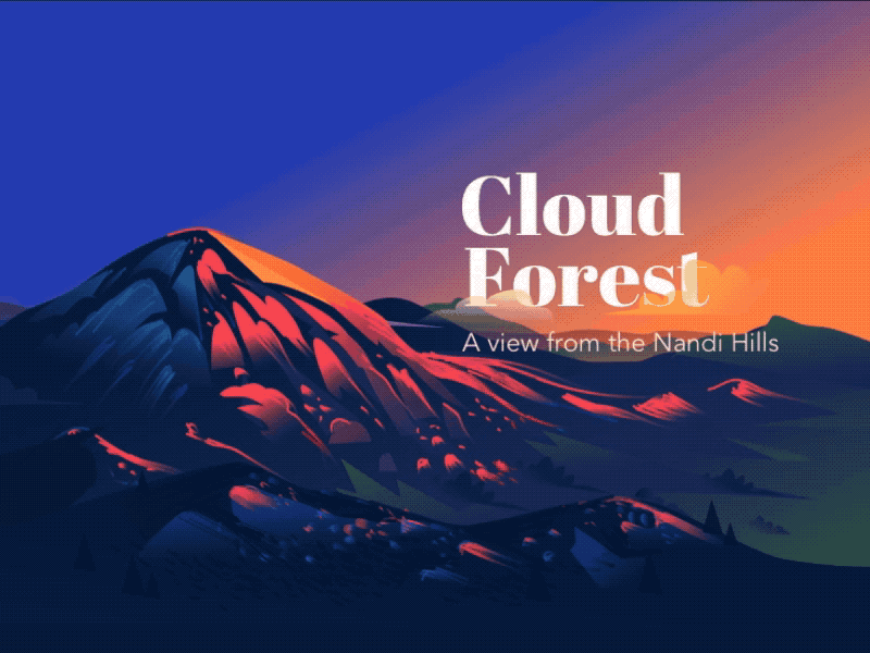 Cloud forest - Nandi Hills
