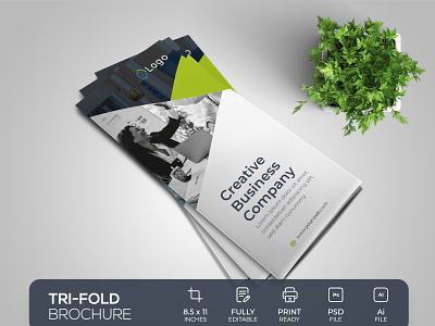 Creative Tri-Fold Brochure