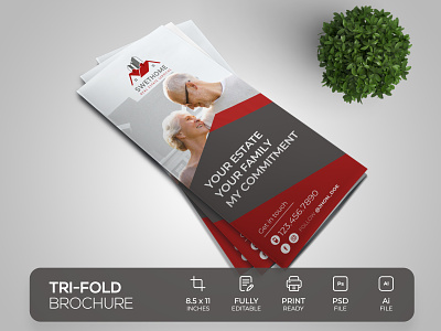 Real Estate Tri-Fold Brochure