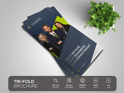 Real Estate Tri-Fold Brochure