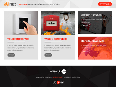 Teledata - Fire systems fire web web design