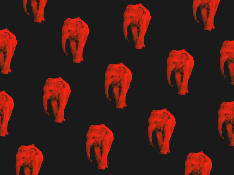 Elephant Animation Concept