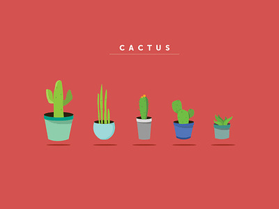 Cactus cactus icon