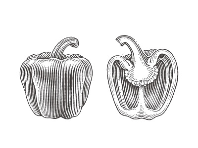 Bell pepper