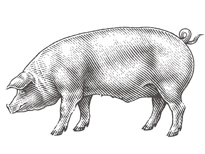 pig food clipart black