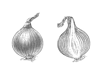 Onion