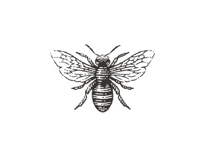 Bee bee engraving etching honey icon insect label logo pen and ink vector engraving