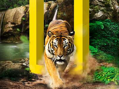 National Geographic - Digital Campaign collage cracow digital fotocollage kraków nat geo national geographic national geographic polska tiger wild cat