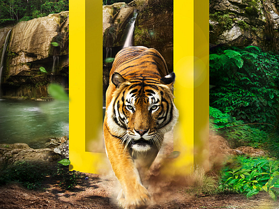 National Geographic - Digital Campaign