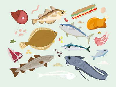 Manuel du Bon Sens Cuisinier : Fish • Meat & Food book colour cookbook digital digital illustration editorial food food illustration illustration illustrator cc vector
