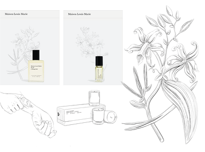 Maison Louis Marie • illustrations beauty botanics branding colour cosmetics drawing flat flowers graphic design handmade illustration packaging photoshop plants