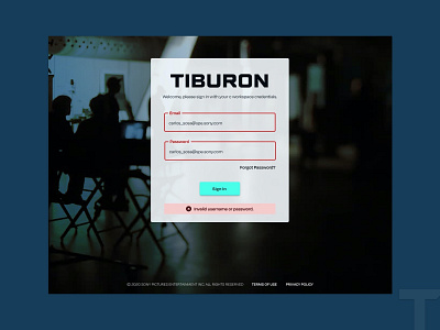 Tiburon Login Page Validation app branding design icon material ui minimal ui ux web