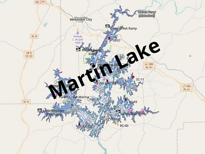 Martin Lake