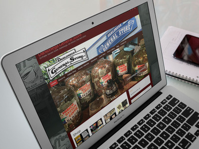 Dahlonega GS branding business graphic mobile responsive seo webpage website wordpress