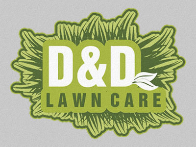 D&D Logo / Website branding business graphic mobile responsive seo webpage website wordpress