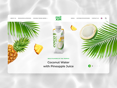 Beverage Website - Coconut Water banner beverage coconut drink hero banner leaf pineapple ui water web web design website website design