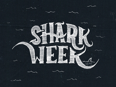 Shark Week 2015! design graphic design handlettering handtype ocean portland sharks sharkweek tim weakland typography