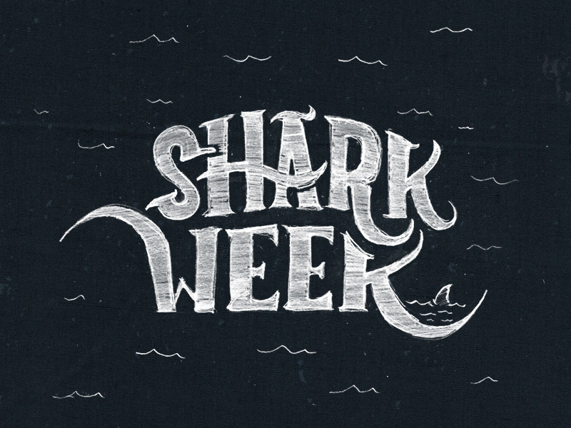Free Free 338 Shark Week Svg Free SVG PNG EPS DXF File