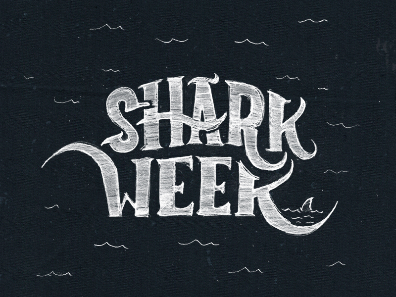 Free Free 61 Shark Week Svg Free SVG PNG EPS DXF File