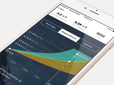 Investment Management Application