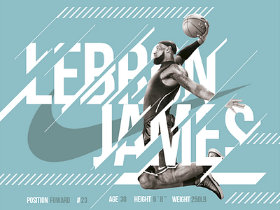 LeBron Career Stats Poster Infographic basketball foward infographic james lebron mvp nba nike stars