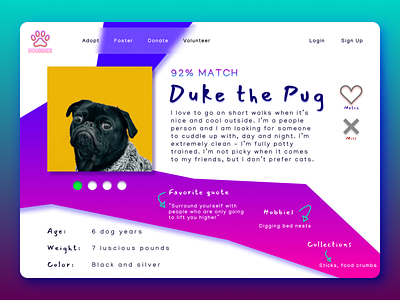 Dog Adoption Web Design - Pet Profile Page adoption colorful dating website datingapp designchallenge dog adoption figma pet adoption profile profile design profile page uiux webdesign website