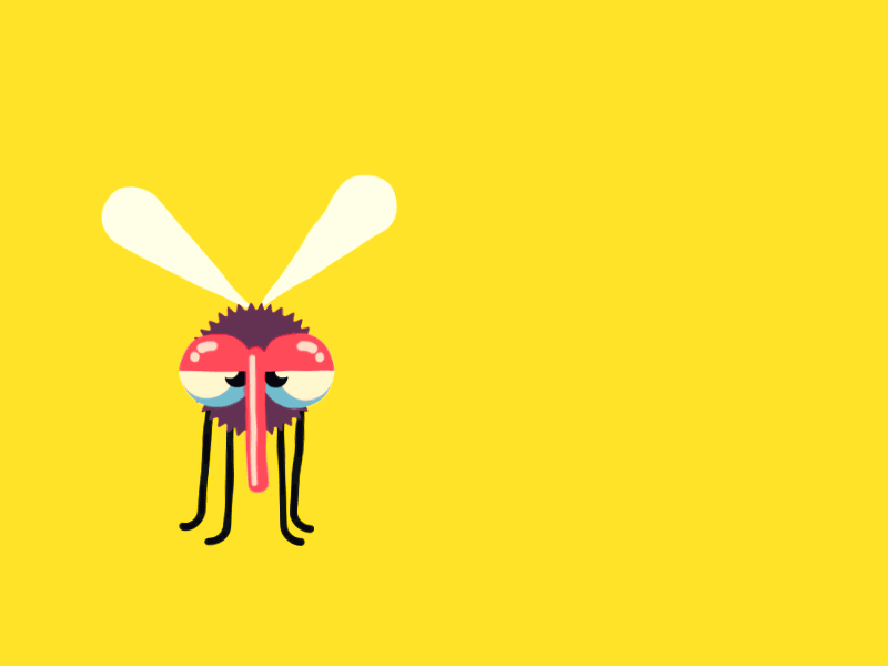 The charismatic mosquito 2d after effects animation fly mosquito