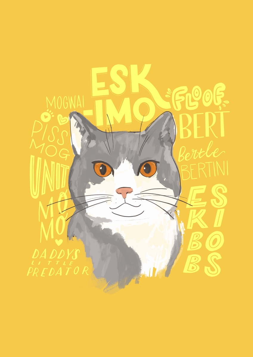 another-kitty-with-all-the-names-by-jess-bright-on-dribbble