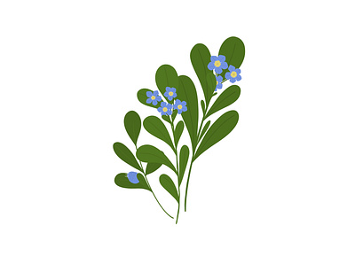 Pretty Weeds - Speedwell bold colour botanical botanical illustration colour flat illustration floral flowers illustration garden hand drawn illustration leaves nature outdoors plants pretty vector weeds