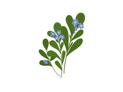 Pretty Weeds - Speedwell