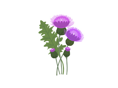 Pretty Weeds - Thistle bold bold color botanical botanical illustration colour flat illustration floral floral illustration flowers hand drawn illustration leaves nature outdoors plant pretty purple thistle vector weeds