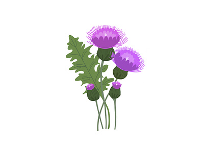 Pretty Weeds - Thistle