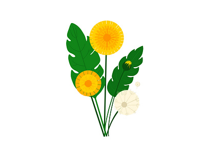 Pretty Weeds - Dandelion bold botanical botanical art botanical illustration colour flat illustration floral design flowers garden hand drawn leaves nature outdoors plants pretty vector weeds