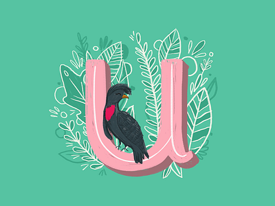 36 days of type - U alphabet animals birds hand drawn hand lettering illustration ipad pro leaves nature type typography