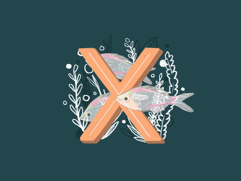 36 days of type - X colour botanical illustration type typography hand lettering fish animals 36 days of type