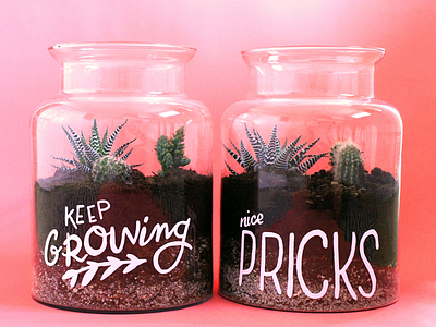 Hand lettered terrariums