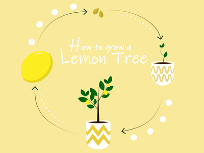 How to grow a lemon tree