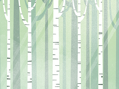 Woods WIP