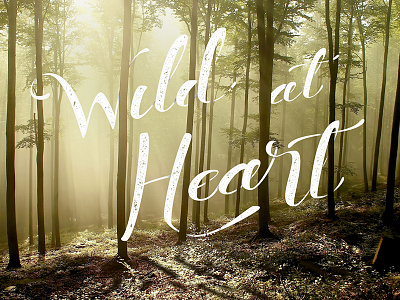 Wild At Heart forest hand lettering lettering type typography woods