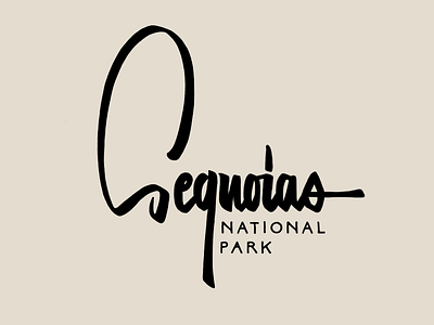 Sequoias National Park drawing hand lettering hand lettering illustration lettering letters outdoors sequoia type typography