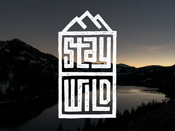 Stay Wild by Francis Chouquet on Dribbble