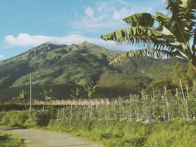 Merbabu Mountain