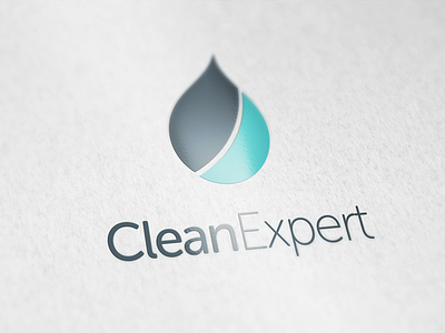 Clean Expert logo design identity logo logotype