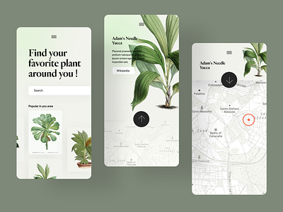 Plants searching app - daily ui #2 clean ui dailyui dailyuichallenge mobile mobile app mobile design mobile ui modern